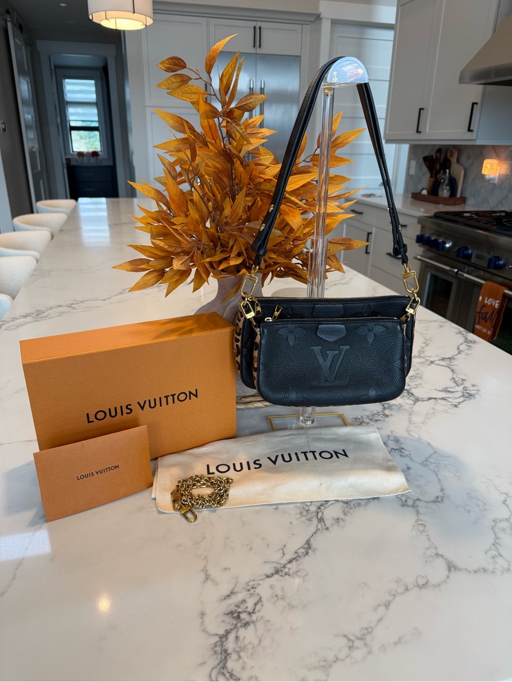 Louis Vuitton Wild at Heart Multi Pochette Black Empreinte Limited Edition